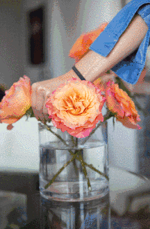 20170323091856138.gif