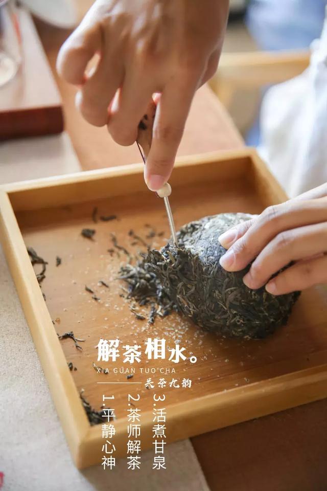 「关茶九韵」一杯好茶是这样泡出来的!(上)