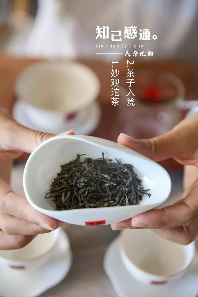 「关茶九韵」一杯好茶是这样泡出来的!(上)