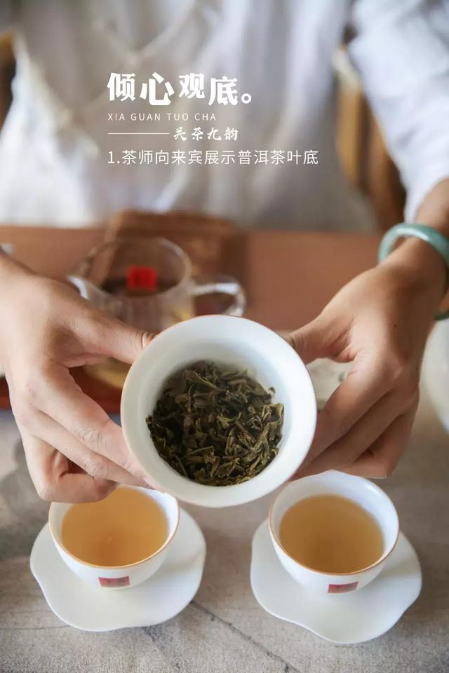 「关茶九韵」一杯好茶是这样泡出来的!(上)